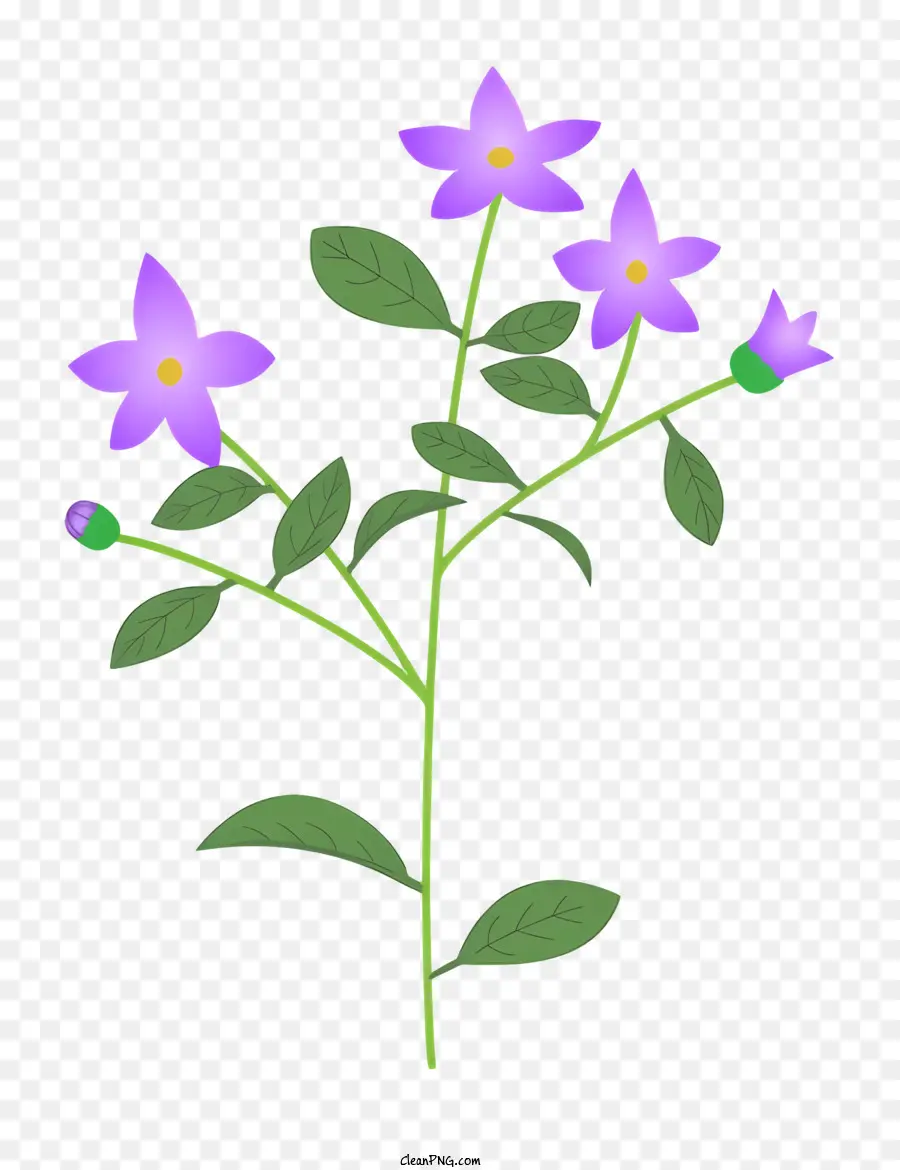 Icon Purple Blumen stamm kleine Blumen dunkelviolettes Zentrum - Drei kleine lila Blüten, die an einem Stamm befestigt sind