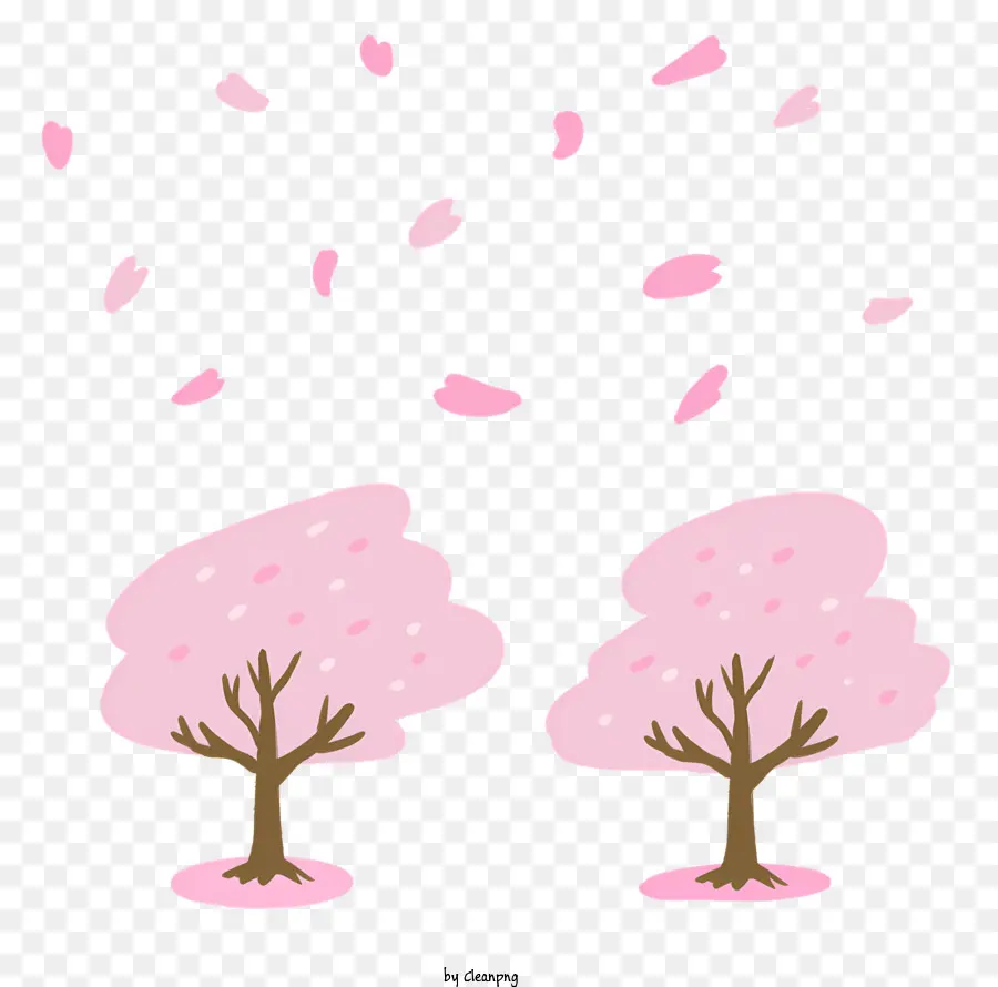fallende Blütenblätter - Schöne Kirschblütenbäume mit fallenden rosa Blütenblättern