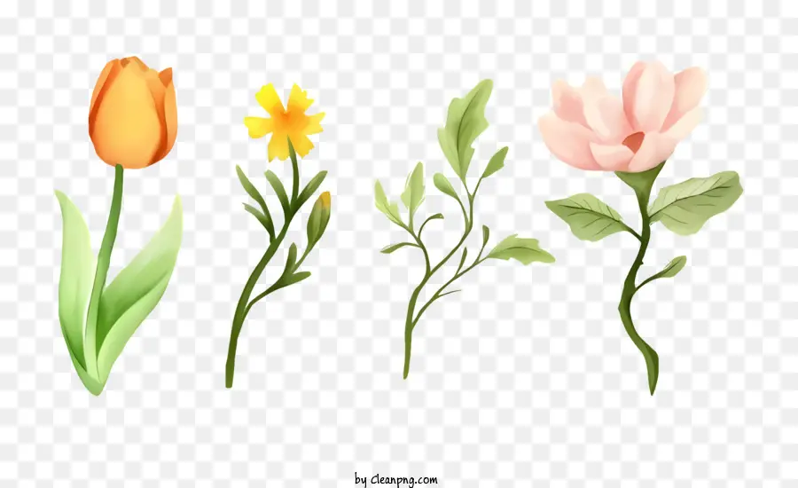 acquerello fiori - Quattro fiori ad acquerello su sfondo nero