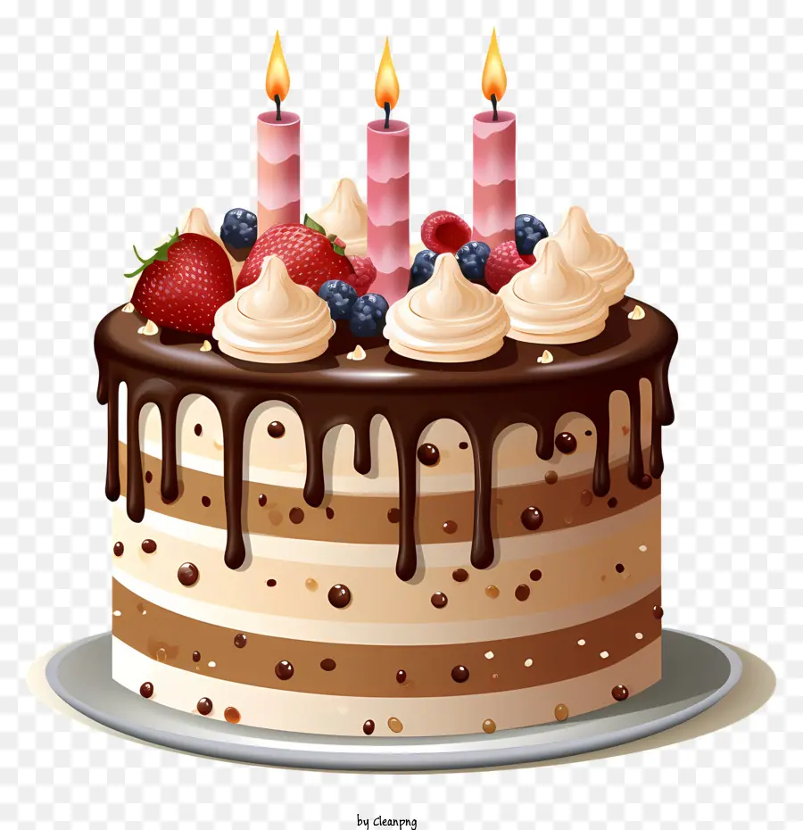 Bánh sinh nhật - Bánh sinh nhật sô cô la với nến sáng và trái cây