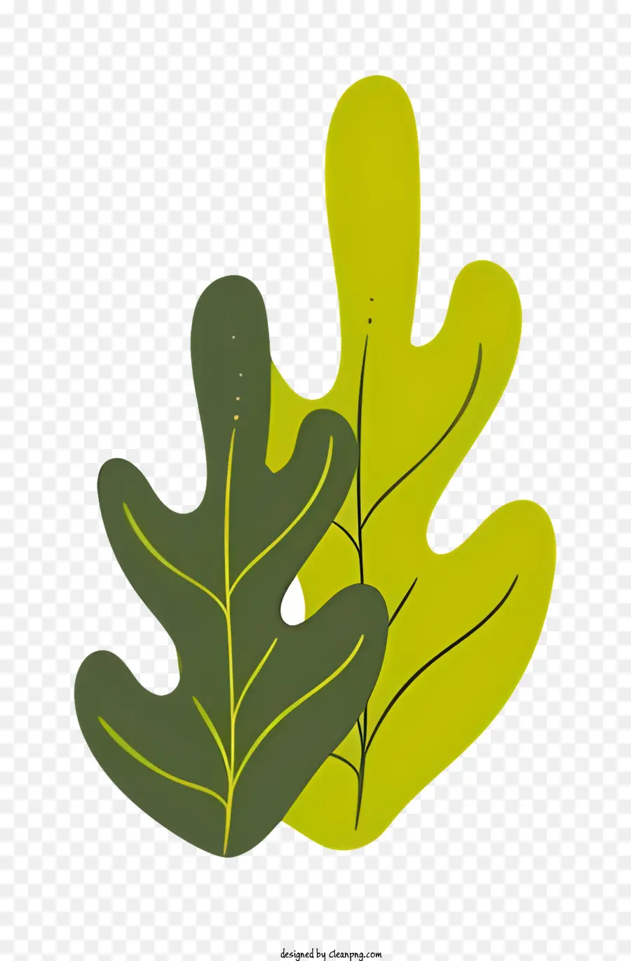 grünes Blatt - Grünes Blatt mit spitzen Ende auf schwarzem Hintergrund