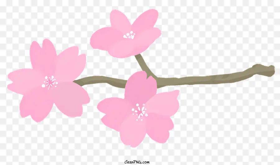 icon sakura fiori fiori di ciliegio petali rosa cluster di fiori - Gruppo di fiori di sakura su gambo rosa chiaro
