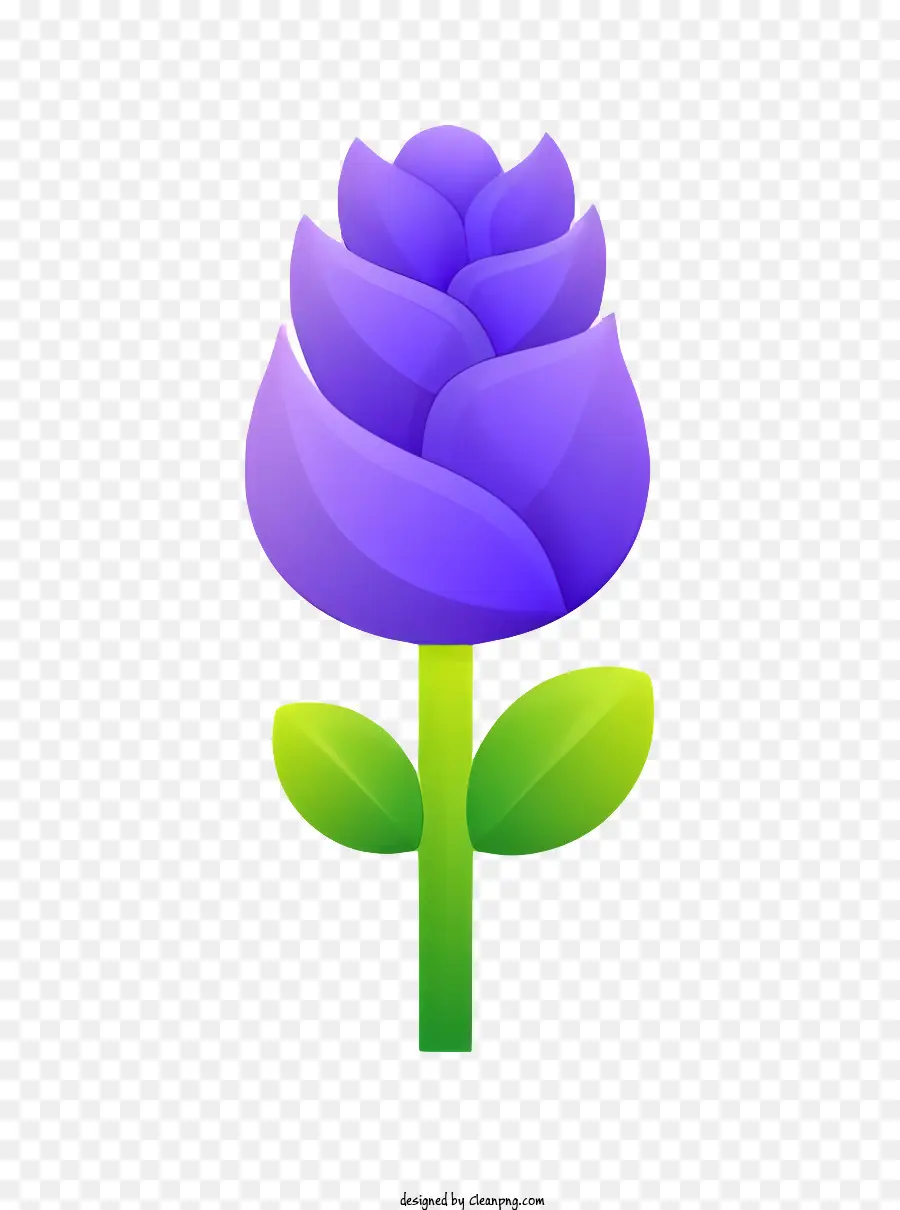 lila Blume - High Definitionsfoto der lila Blume in Blüte