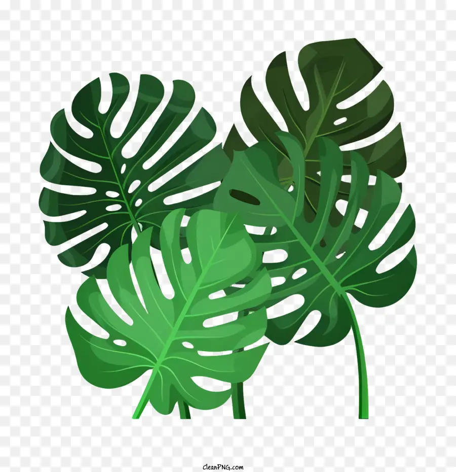 Cartoongrüne Blätter speicherte Blätter wellige Blätter gezackte Kantenblätter - Kreisförmige Anordnung welliger, grüner, spitzer Blätter