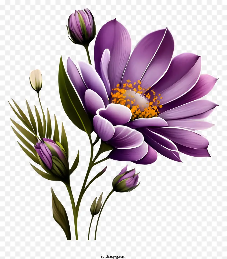 hoa tím - Hoa màu tím với thân màu xanh lá cây trên nền đen