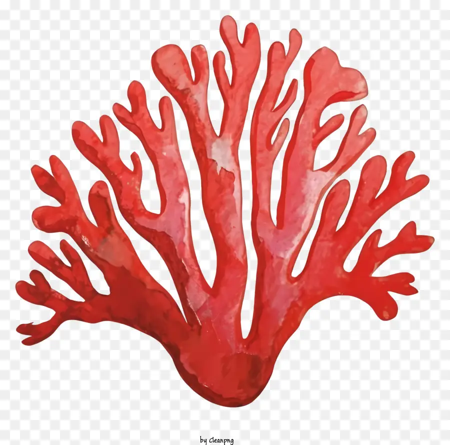 Cartoon Red Coral White Underbelly große Tentakel schwimmende Koralle - Rote Koralle mit weißem Unterbauch im Wasser schwebt