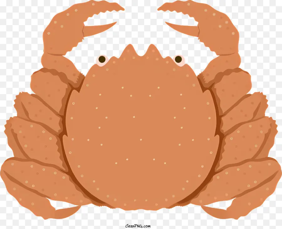 Icon Crab Braun Crab Crab Crab Bild Krabbenkrallen Klauen - Flache, braune Krabbe mit großen Krallen und Hülle