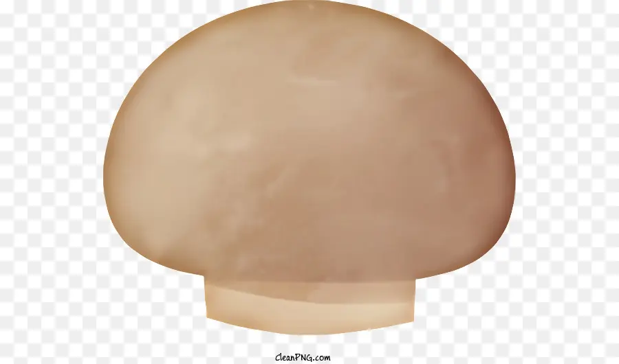 icon brown mushroom flat mushroom round top mushroom rough textured mushroom