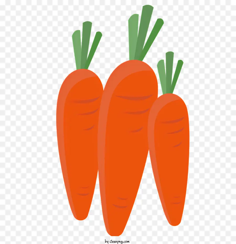 icona carote vegetale organico naturale - Carote presentate in stile organico, evocando freschezza