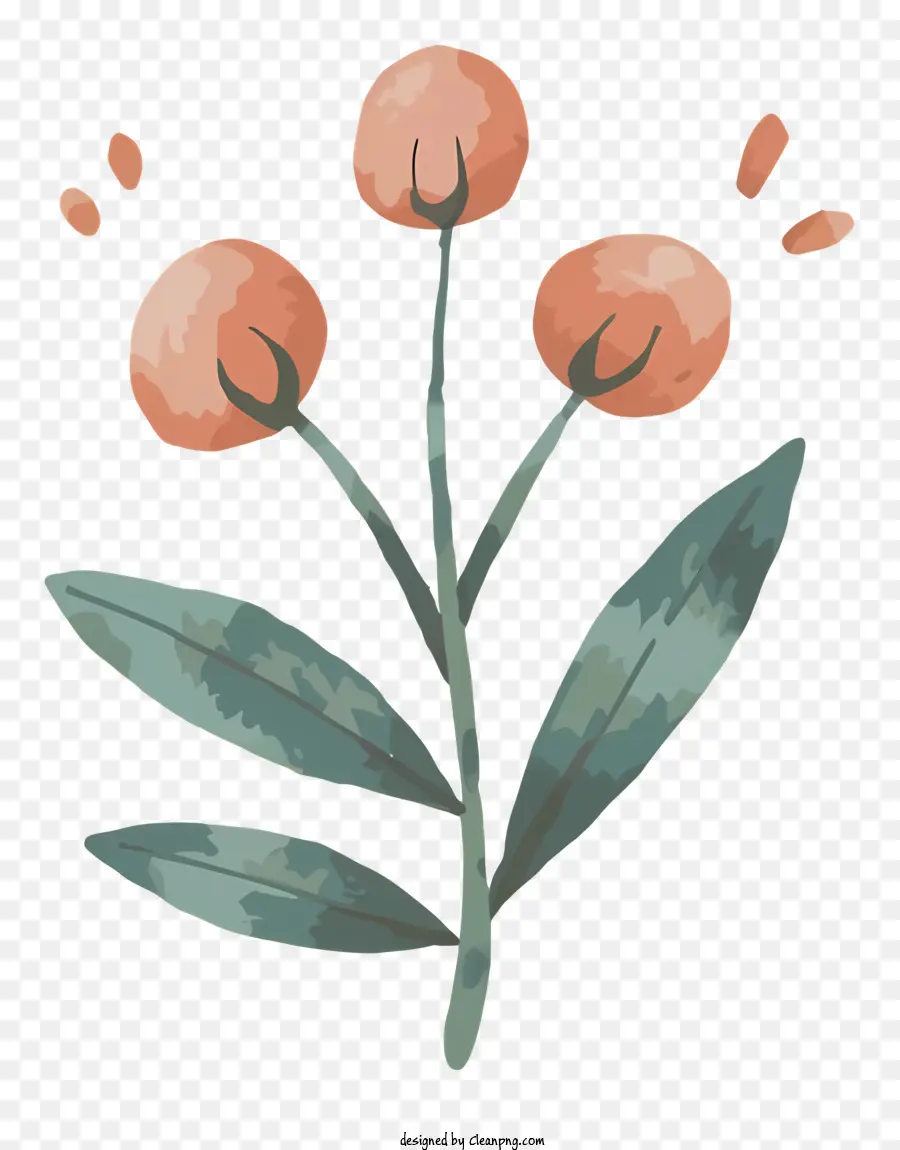 Cartoonblüten Blütenblätter dunkelgrüner Stammblätter - Orangenblume mit grünem Stiel und Tropfen