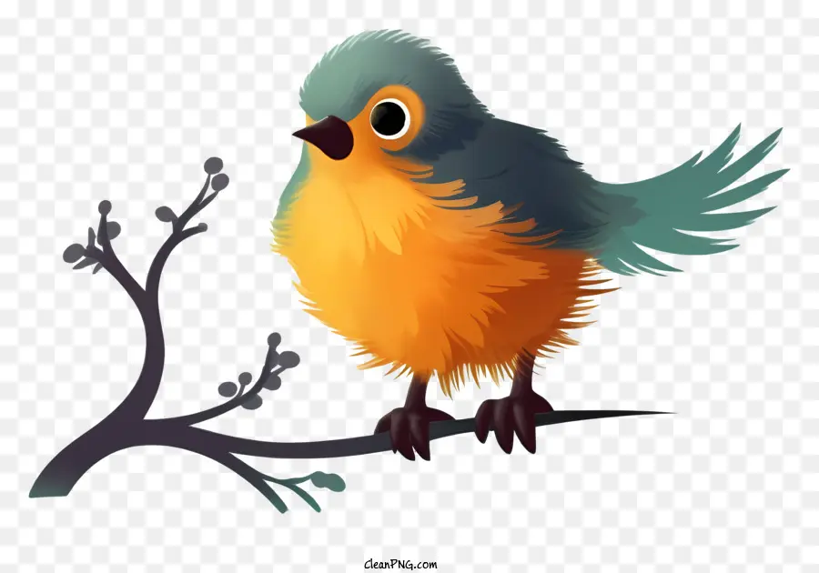 uccello uccello carino ramo uccello arancione blu uccello - Uccello curioso sul ramo circondato dalla natura