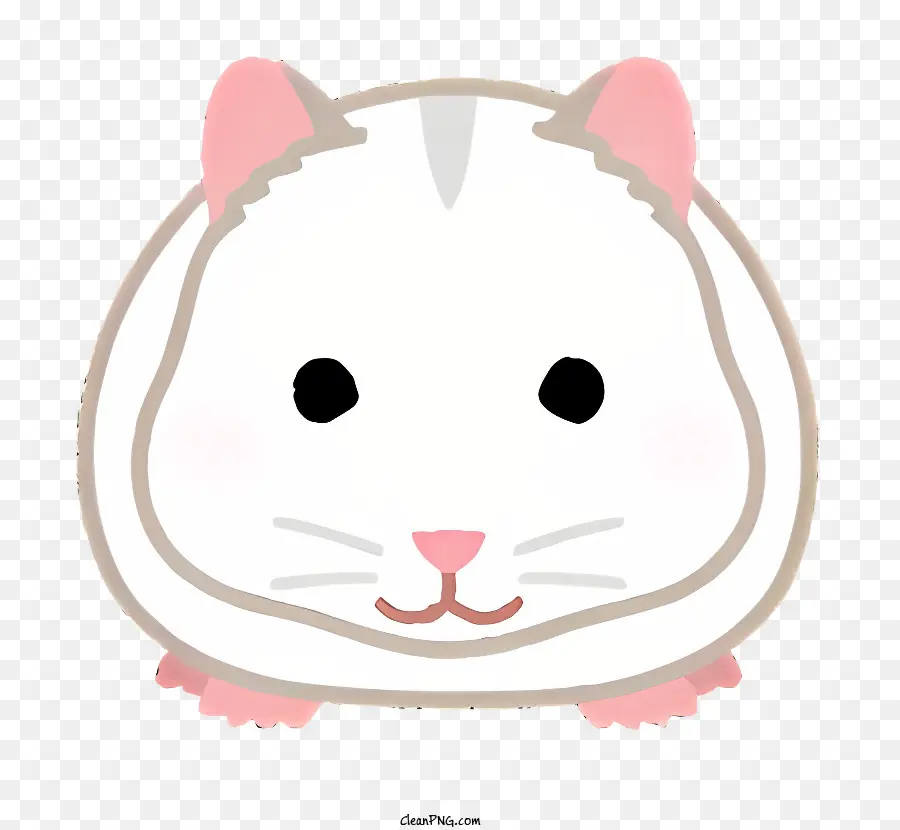 nature white and pink hamster brown eyes pink nose curious expression