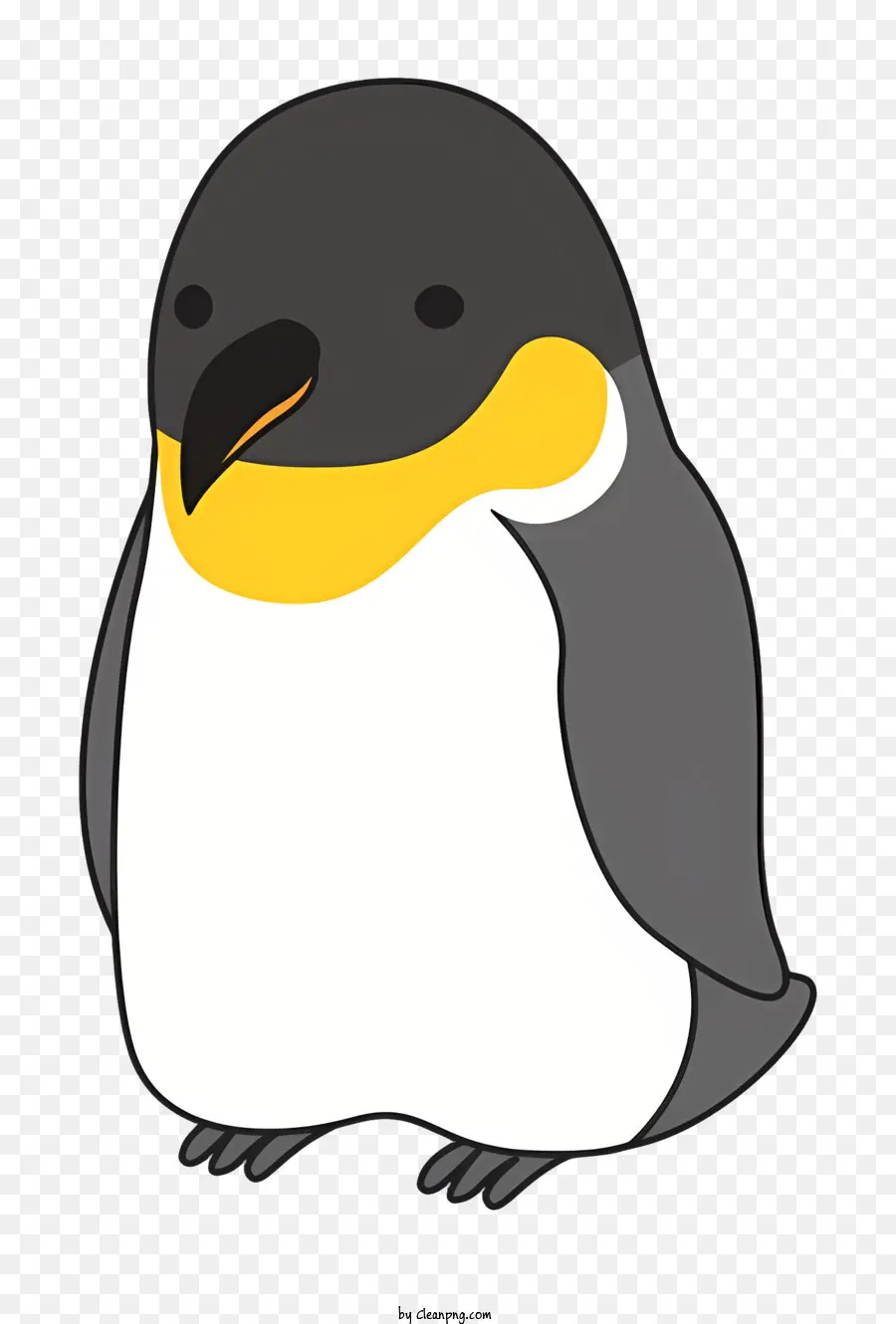 Pinguino - Pinguino bianco e nero con becco giallo