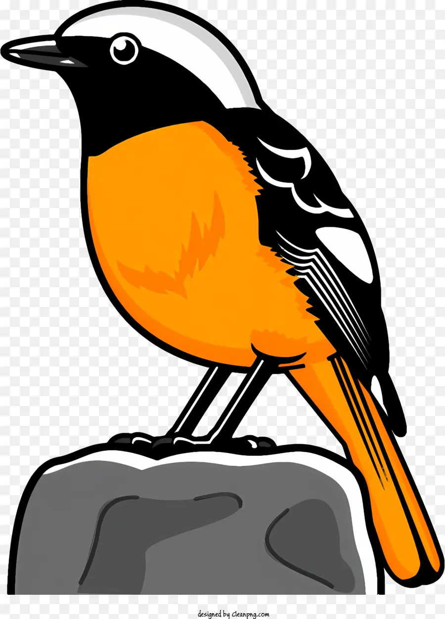 Icon Bird Orange und Schwarzer Vogel weißer Bauch schwarzer Schnabel - Vogel sitzt auf Felsen mit orange und schwarzen Federn