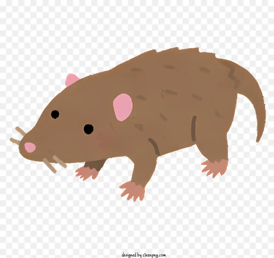 nature small rat brown fur pink nose pink spots