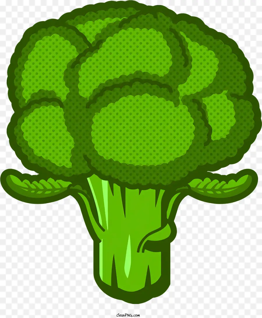 khỏe mạnh thực phẩm - Đầu bông cải xanh màu xanh lá cây với những chiếc lá cuộn tròn trên nền tối