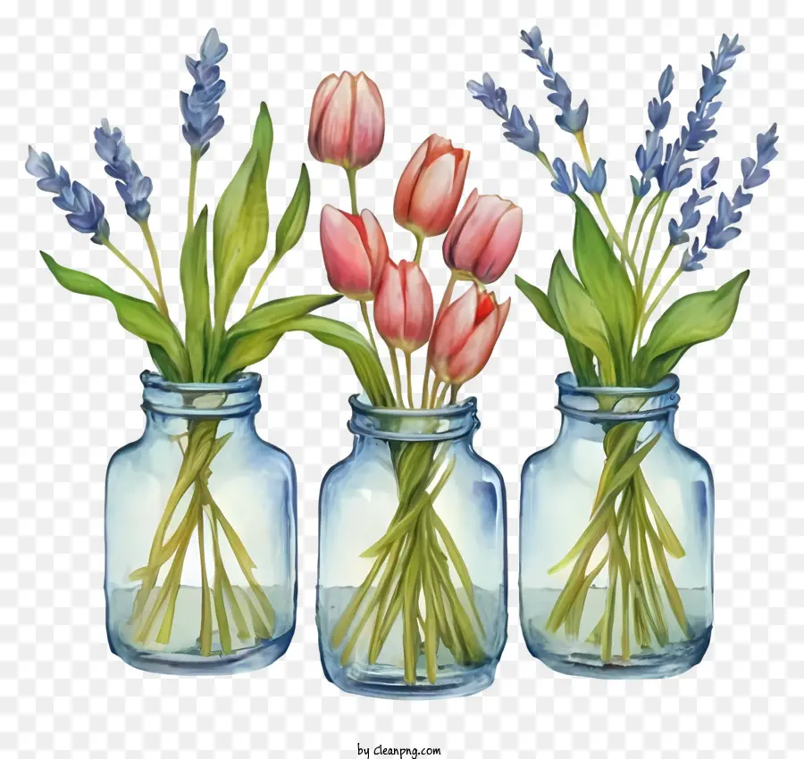 Vasi di vetro di cartone animato Tulips rosa Tulips viola lilla viola - Tre vasi con fiori assortiti su sfondo nero