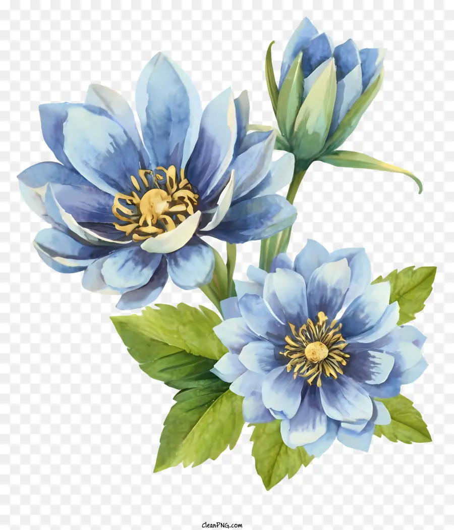 Gesteck - Drei große blaue Blüten mit weißen Staubblättern