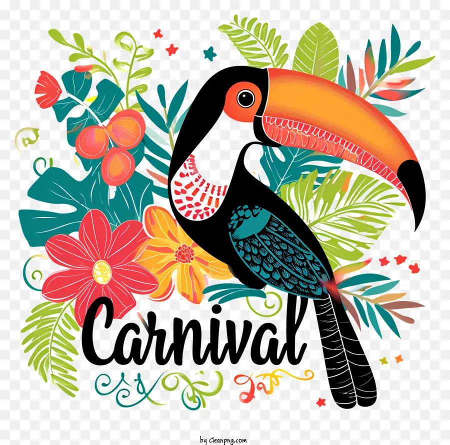 brazil carnival toucan bird distinctive beak black and white image