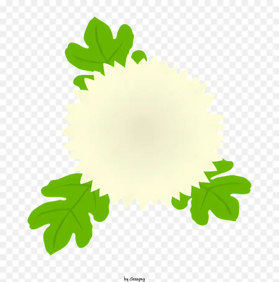 Scuola Flower Flower White Petali Foglie verdi steli - Fiore di dente di leone bianco con foglie verdi su nero