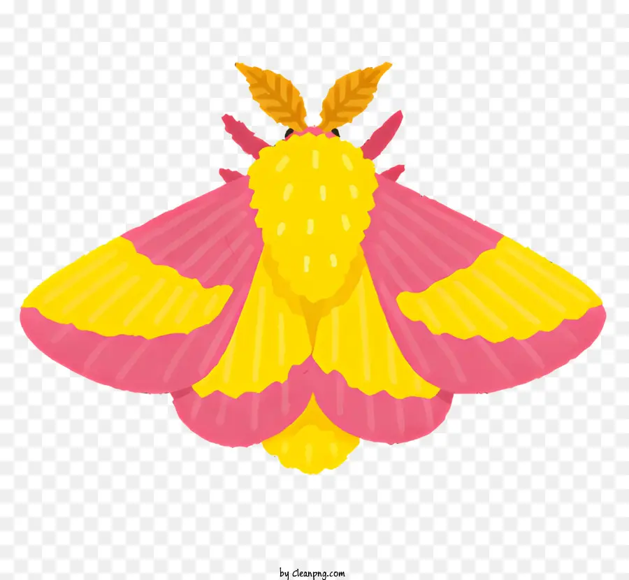 Nature Butterfly Yellow and Pink Stripes Wing Colors Round Body - Farfalla a strisce gialla e rosa con dettagli neri