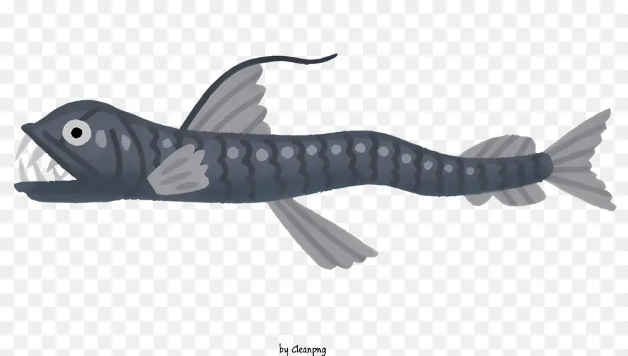 squalo - Disegno di cartone animato in bianco e nero di pesce predatorio