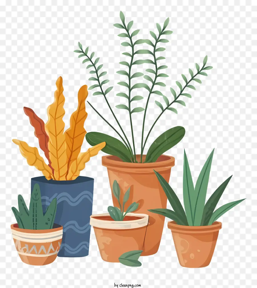 Cartoon Topfpflanzen Farne Palms Sukkulenten - Topfpflanzen, die auf einem schwarzen Hintergrund gedeihen