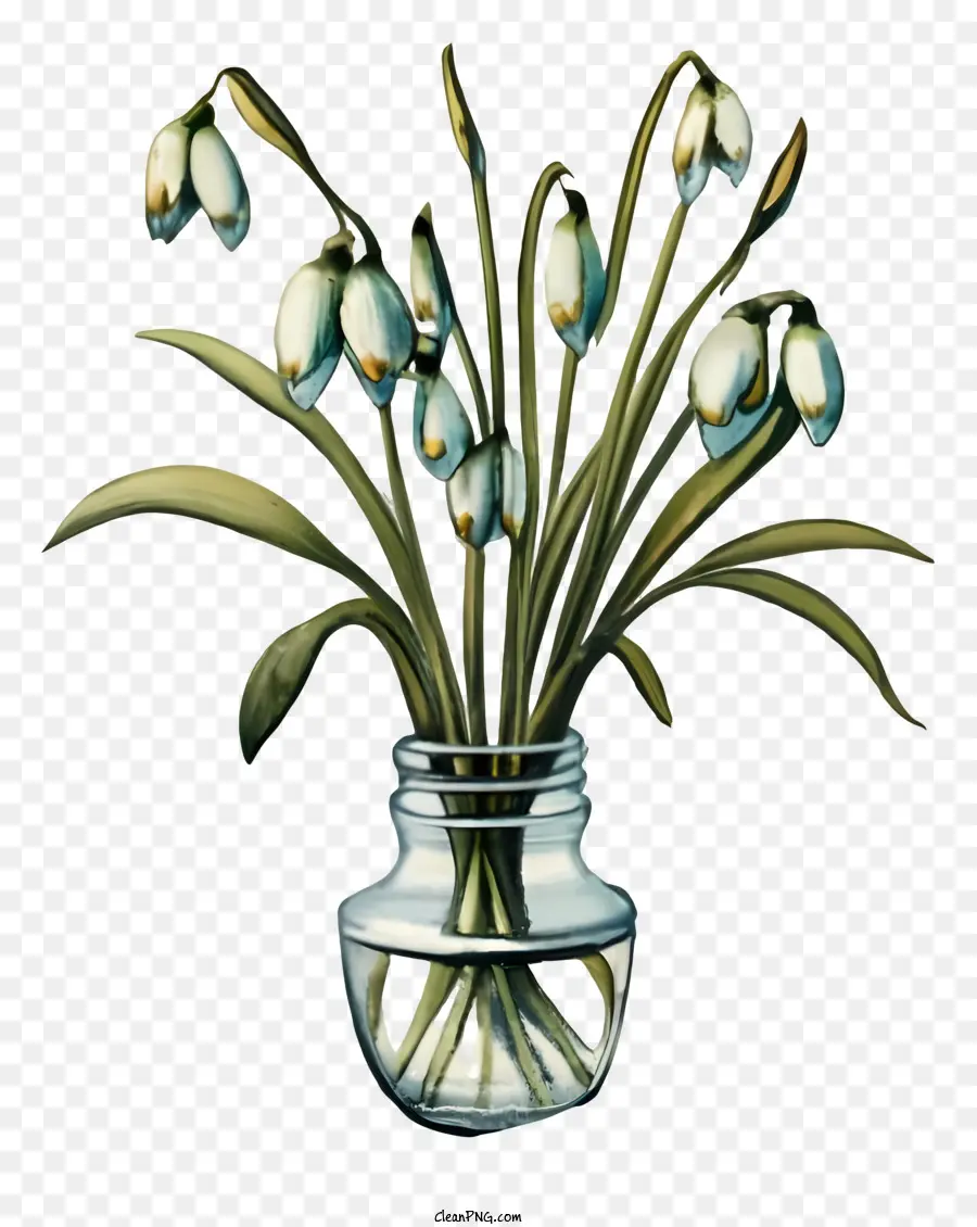 fiori di primavera - Fiori primaverili in vaso di vetro su sfondo nero