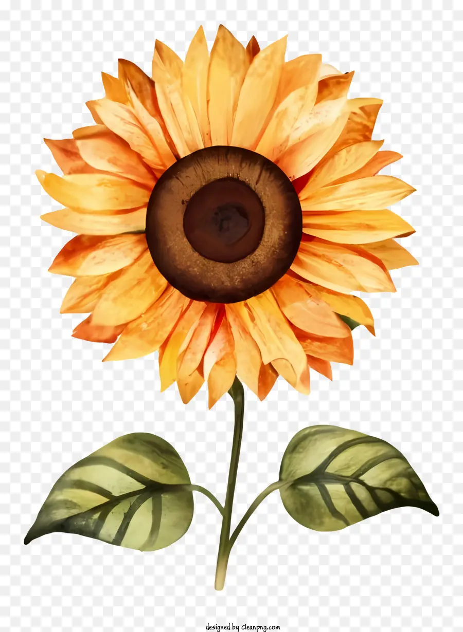Sonnenblume - Lebendige Sonnenblume mit Aquarellstil