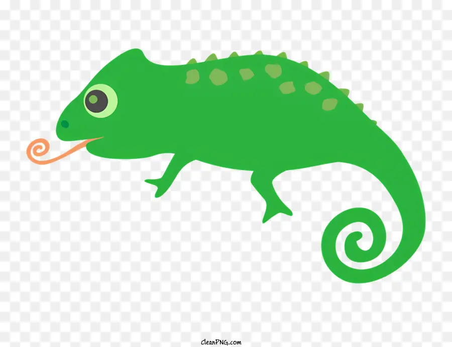 education green chameleon long tail pointed tail short legs