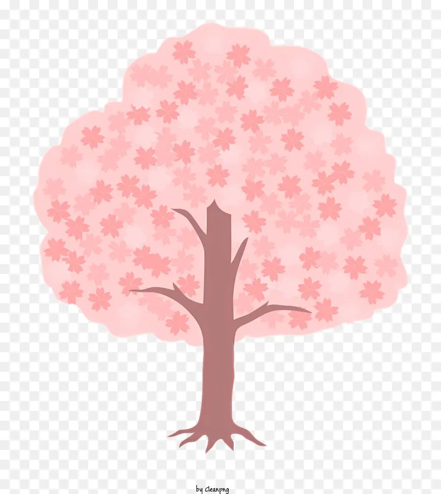fiore di ciliegio - Albero di fiori di ciliegio rosa con fiori bianchi