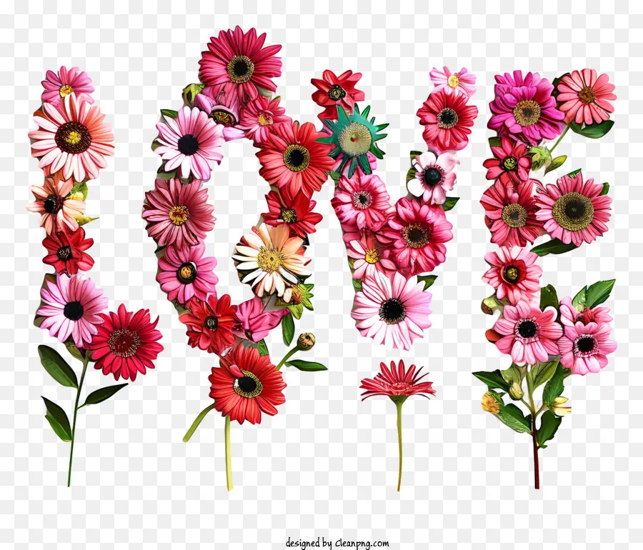 Valentine Love Fiori margherite fiori fiori rosa - Gruppo di fiori rosa e rossi che ortiscono 