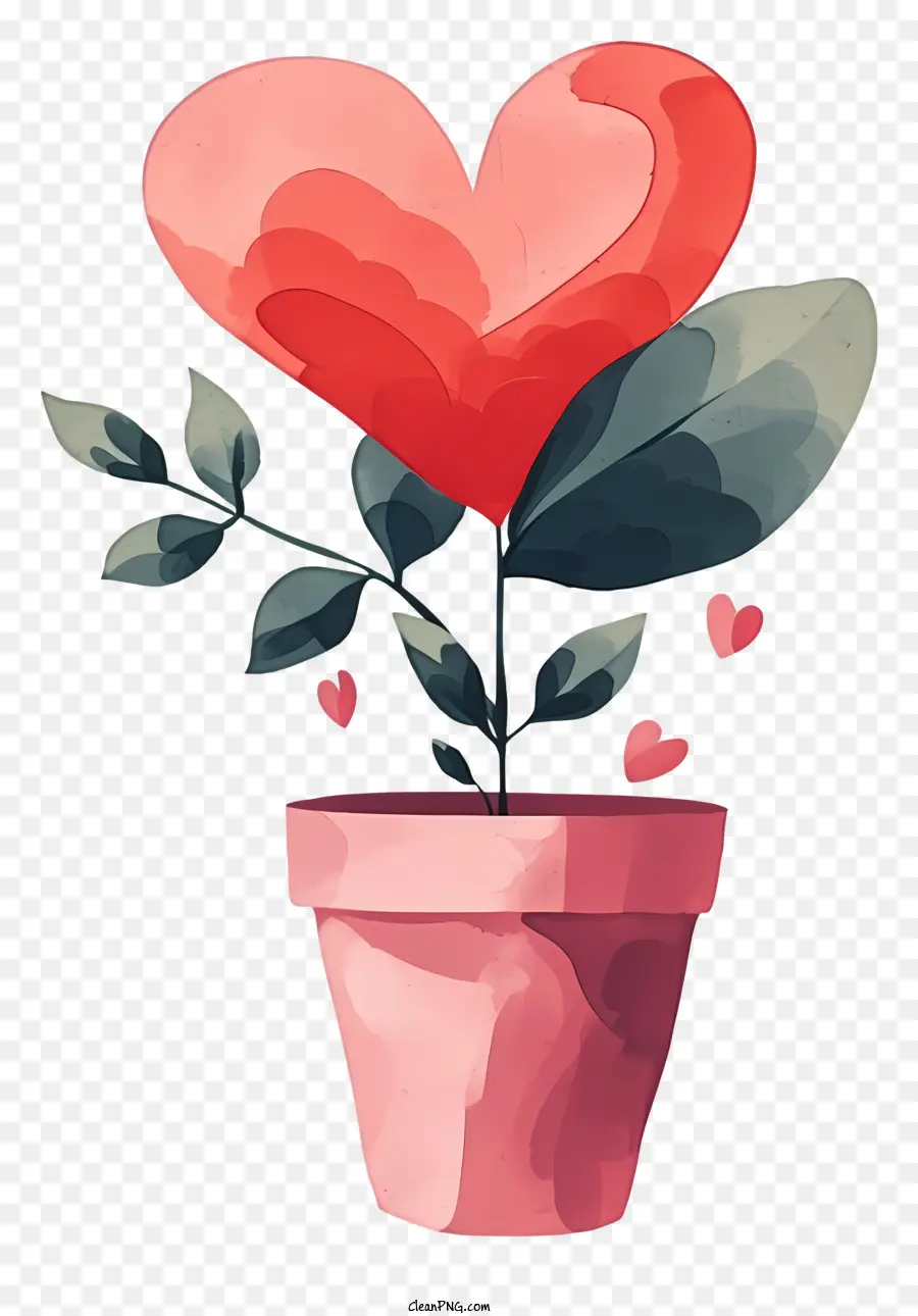 flacher Valentinstag pflanzter Pflanze herzförmiges Blatt tiefrosa Blatt weiße Zentrum - Topfpflanze mit rosa herzförmigem Blatt