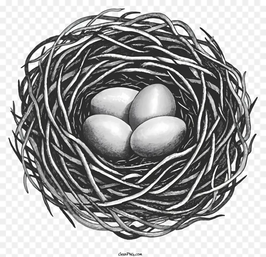 ramoscelli nido di nido di cartoni animati - Nido di uccelli con tre grandi uova marroni