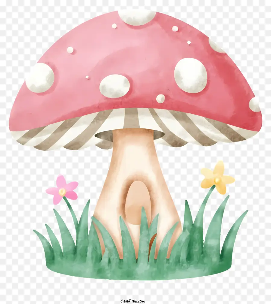 fumetto illustrazione di flussi di funghi di fiori di erba verde fiori bianchi - Illustrazione ad acquerello di funghi nell'erba con fiori