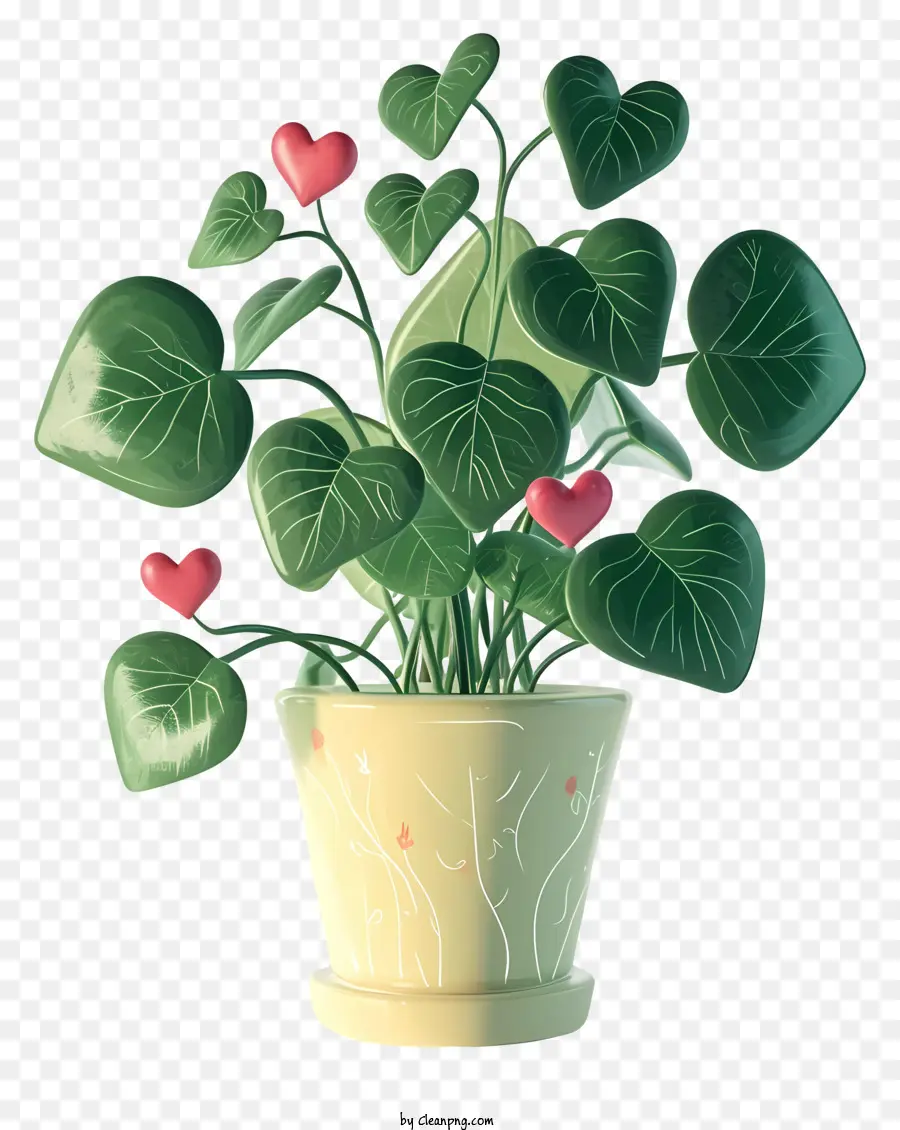 Liebe pflanze kleine Topfpflanzenherzen auf Blättern rote Herzen auf Pflanzen im Innenpflanzendekoration - Pflanzen Sie mit roten Herzen auf schwarzem Hintergrund