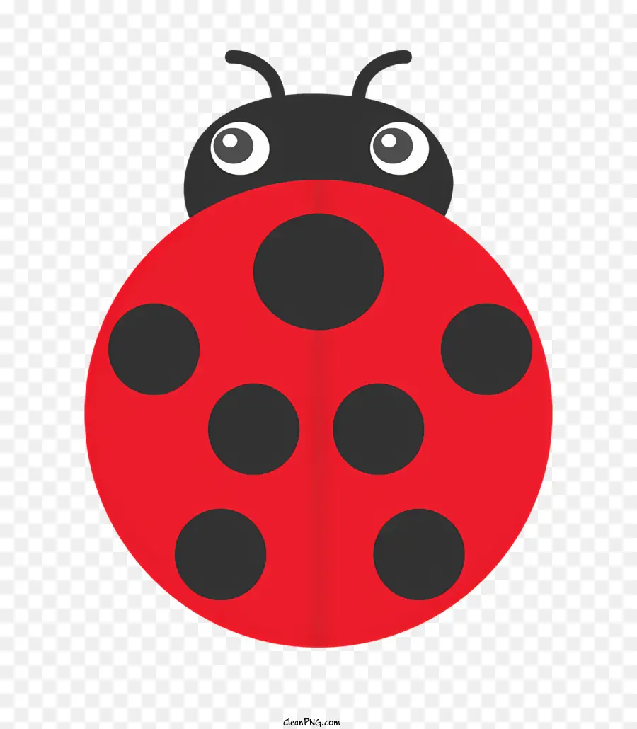 Marienkäfer - Roter Marienkäfer mit schwarzen Flecken am Körper
