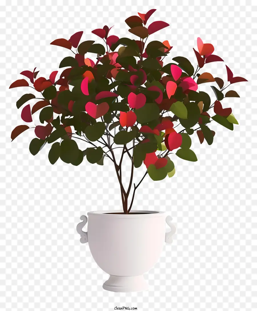 pianta di San Valentino realistica Vaso bianco Vaso colorato piante rosse Fiori rosa - Vista ravvicinata di piante colorate in vaso
