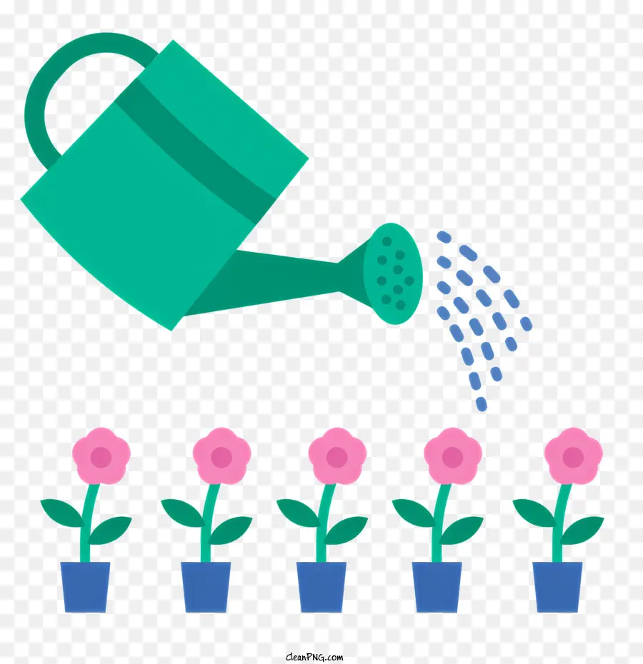 Quellwässerung von Topfblumen, die wassergrüne Bewässerung verschütten, kann - Wasser auf rosa Blumen mit grünem Dose verschütten