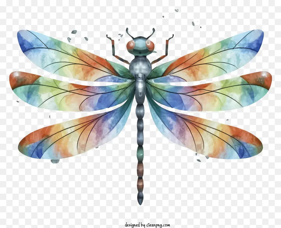 Ali da fumetti Ali colorate ali ad acquerello vernice Dragonfly Blue Dragonfly Body - Dragonfly colorate con ali d'acqua che galleggiano su nero