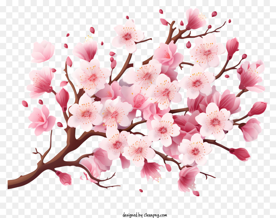 Cherry Blossoms Tree Stock Illustration - Download Image Now - Cherry Tree, Cherry  Blossom, Illustration - iStock