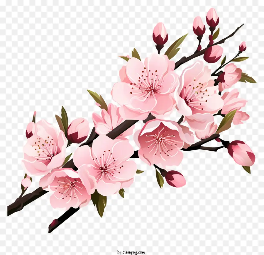 fiori di primavera - Rappresentazione realistica dell'arte della filiale di sakura in fiore