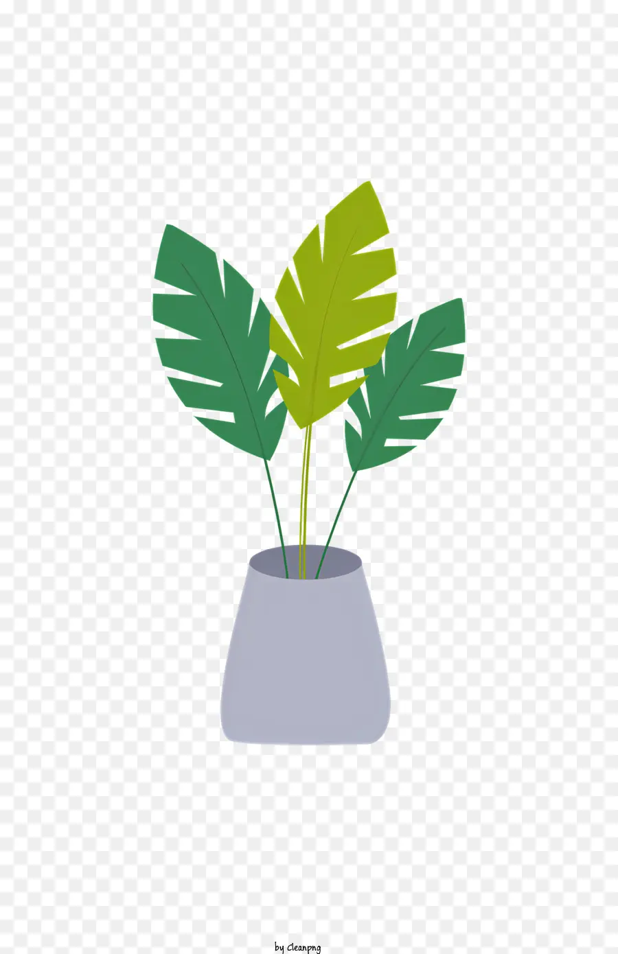 eyeball plant in pot green leaves vase-shaped plant rounded bottom pot