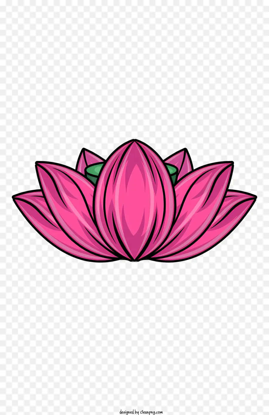 eyeball pink lotus flower petals stamen light green center