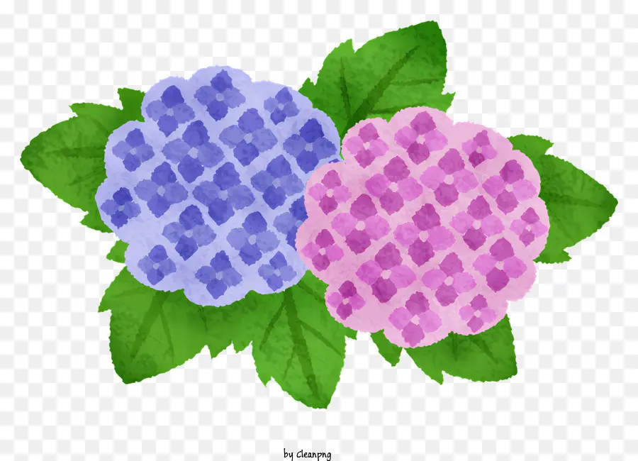 rosa Blume - Rosa und blaue Blüten mit grünen Blättern