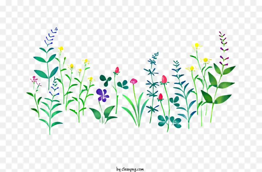 Nội dung biểu tượng hoa hoa hướng dương hoa dại - Hình minh họa hoa đầy màu sắc phù hợp cho áp phích và nội dung kỹ thuật số