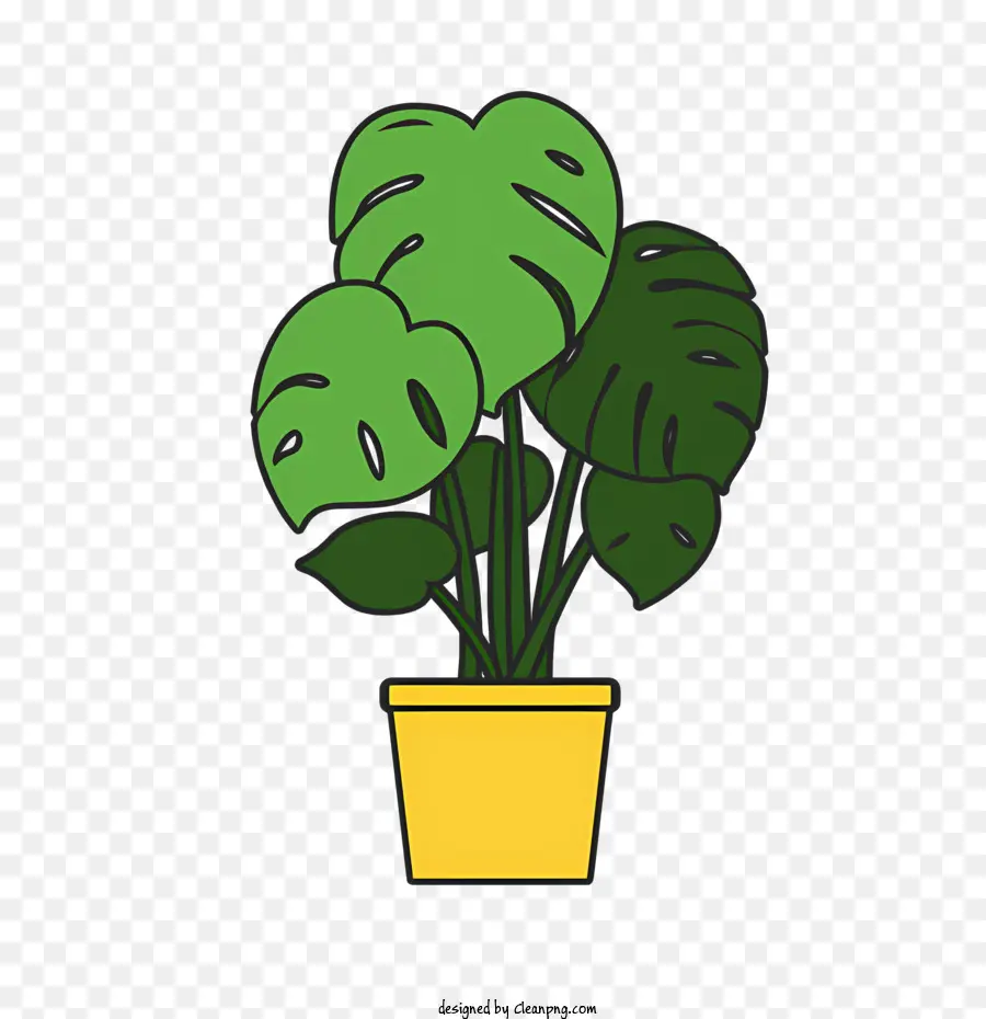 Icon Topfpflanze grüne Blätter fleischige Blätter braune Flecken - Topfpflanze mit grünen Blättern auf schwarzem Hintergrund