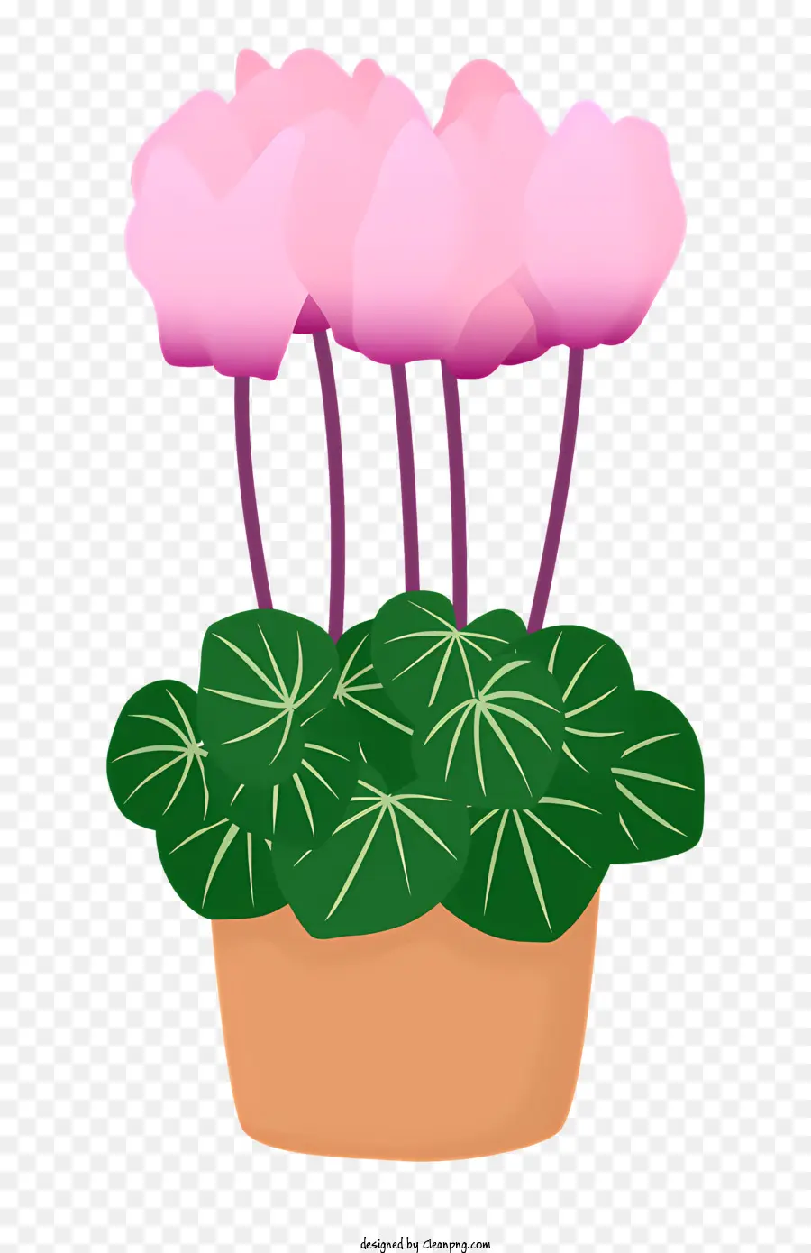Blumenschmuck - Topfpflanze mit rosa Blumen im braunen Topf