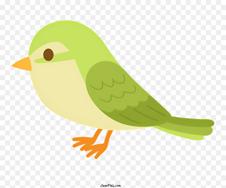 icona piccolo uccello verde becco bianco occhi neri uccelli a gambe - Immagine: piccolo uccello verde con becco bianco