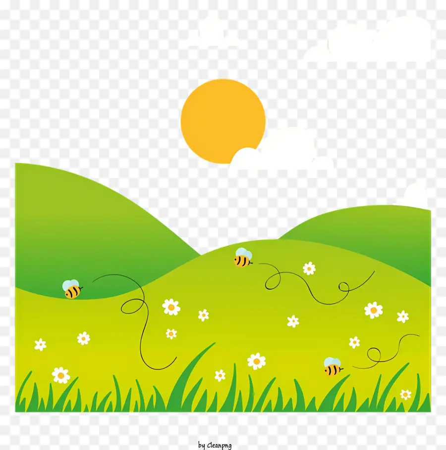 Federfeld üppige grüne Gras -Gänseblümchen Wolken - Friedliches, grünes Feld mit hellem, sonnigem Himmel